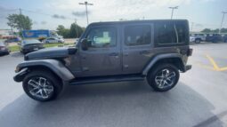 
										Jeep Wrangler full									