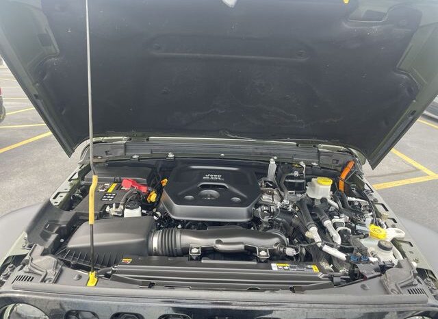 
 Jeep Wrangler full									