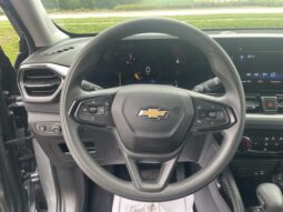
 Chevrolet TrailBlazer full									