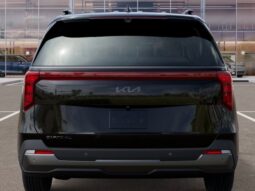 
 Kia Carnival full									