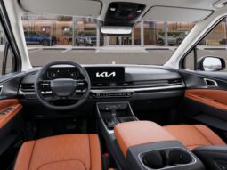 
 Kia Carnival full									