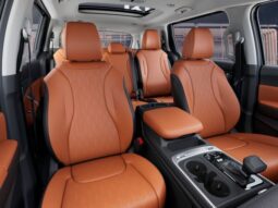
 Kia Carnival full									