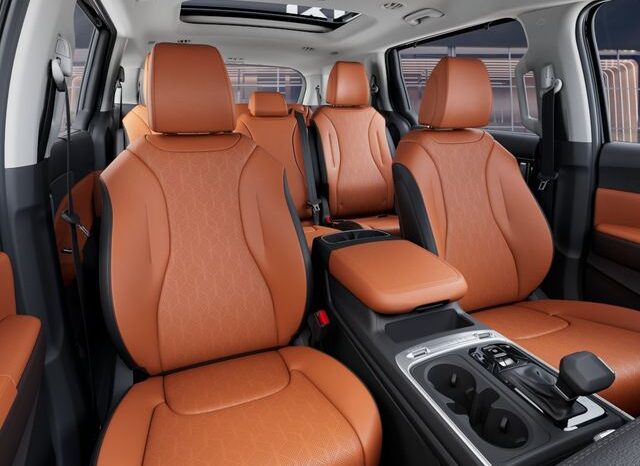
 Kia Carnival full									