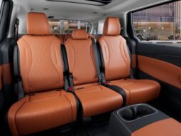 
 Kia Carnival full									