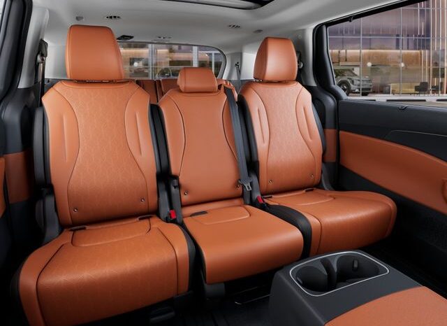 
 Kia Carnival full									