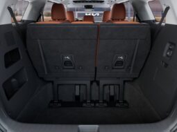 
 Kia Carnival full									