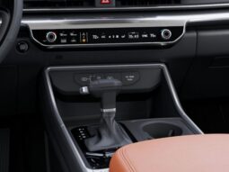 
 Kia Carnival full									