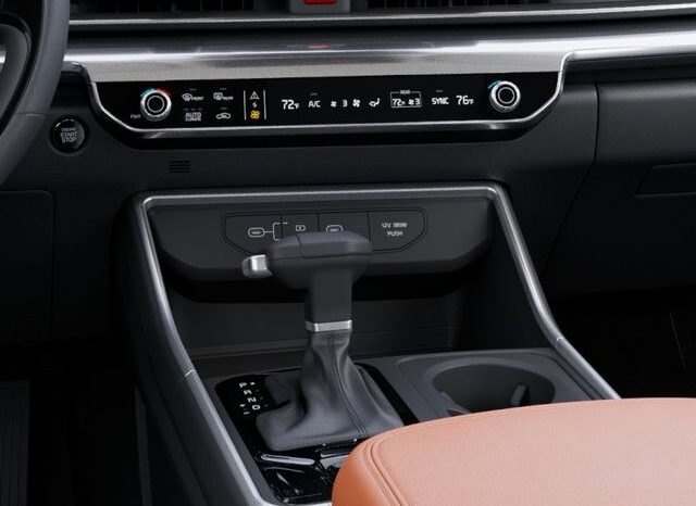 
 Kia Carnival full									