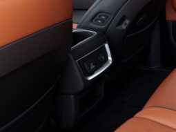 
 Kia Carnival full									