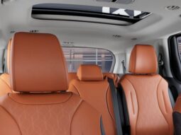 
 Kia Carnival full									