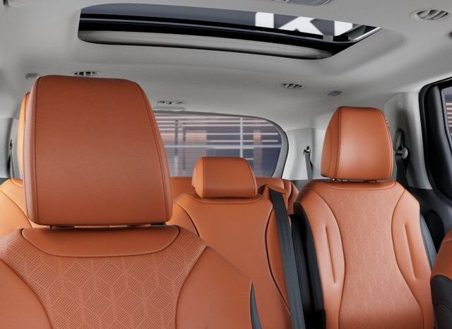 
 Kia Carnival full									