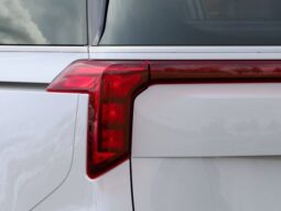 
 Kia Carnival full									