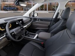
 Kia Carnival full									