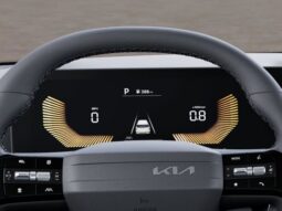 
 Kia Carnival full									