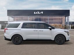
 Kia Carnival full									