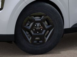 
 Kia Carnival full									