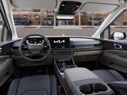 
 Kia Carnival full									