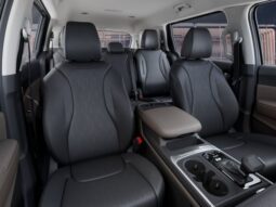 
 Kia Carnival full									