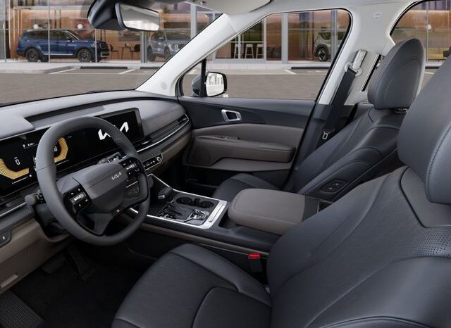
 Kia Carnival full									