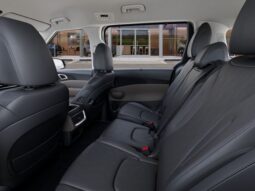 
 Kia Carnival full									