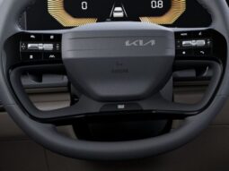 
 Kia Carnival full									