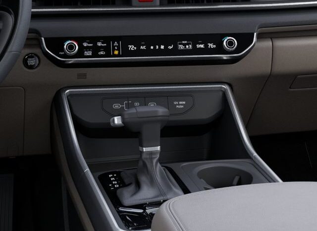 
 Kia Carnival full									