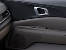 
 Kia Carnival full									