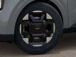 
 Kia Carnival full									