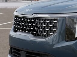 Kia Carnival full