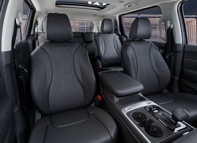 
 Kia Carnival full									