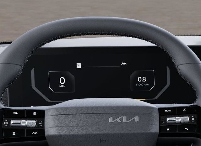 
 Kia Carnival full									