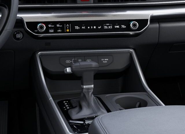 
 Kia Carnival full									