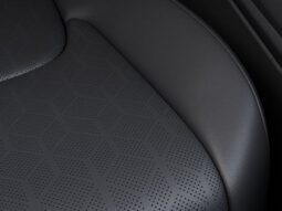 Kia Carnival full