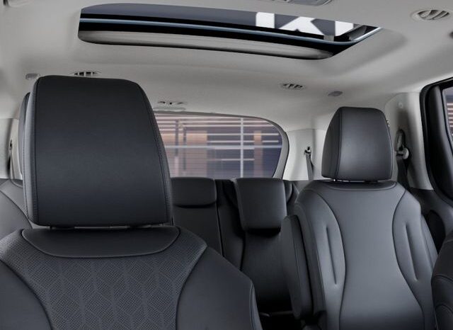 
 Kia Carnival full									