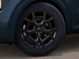 Kia Carnival full