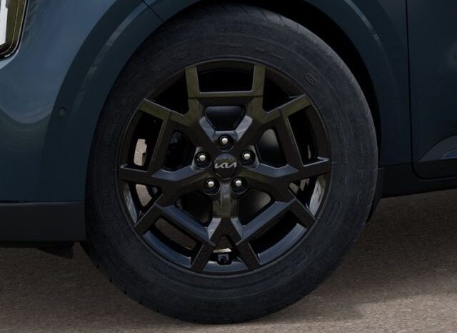 
 Kia Carnival full									