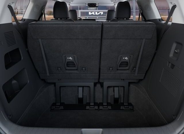 
 Kia Carnival Hybrid full									