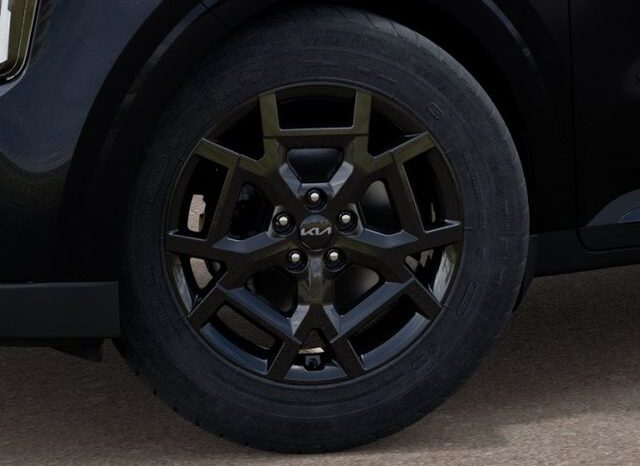 
 Kia Carnival Hybrid full									
