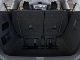 Kia Carnival full
