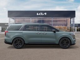 Kia Carnival full