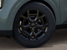 Kia Carnival full