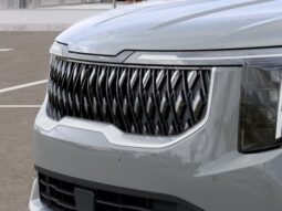 Kia Carnival full