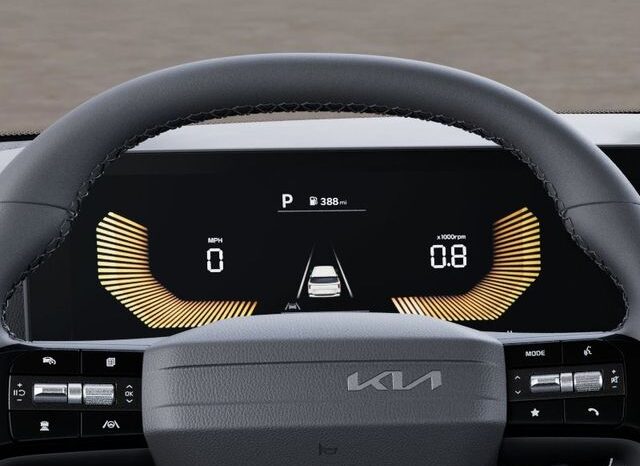 
 Kia Carnival full									