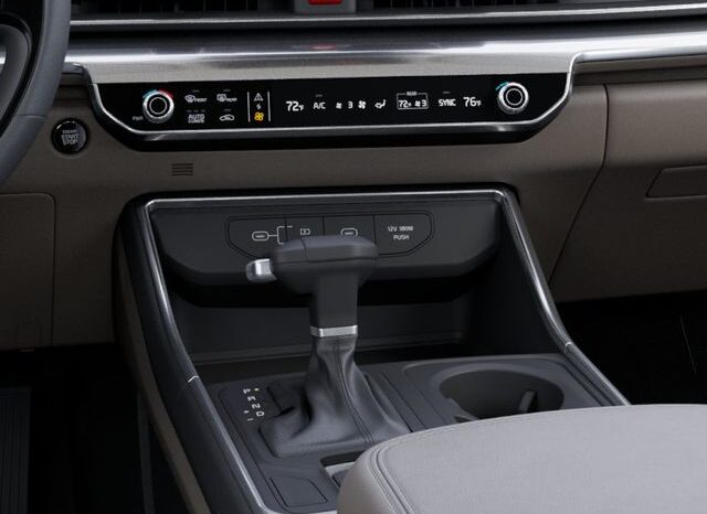 
 Kia Carnival full									