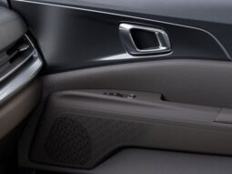 Kia Carnival full