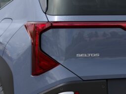 
 Kia Seltos full									