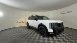 
										Kia Telluride Hybrid full									