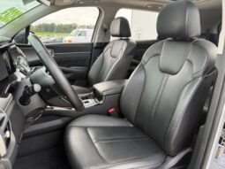 
 Kia Sorento full									