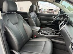 
 Kia Sorento full									