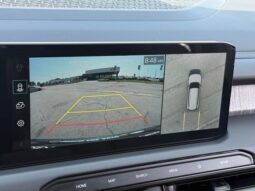 
 Kia Telluride full									